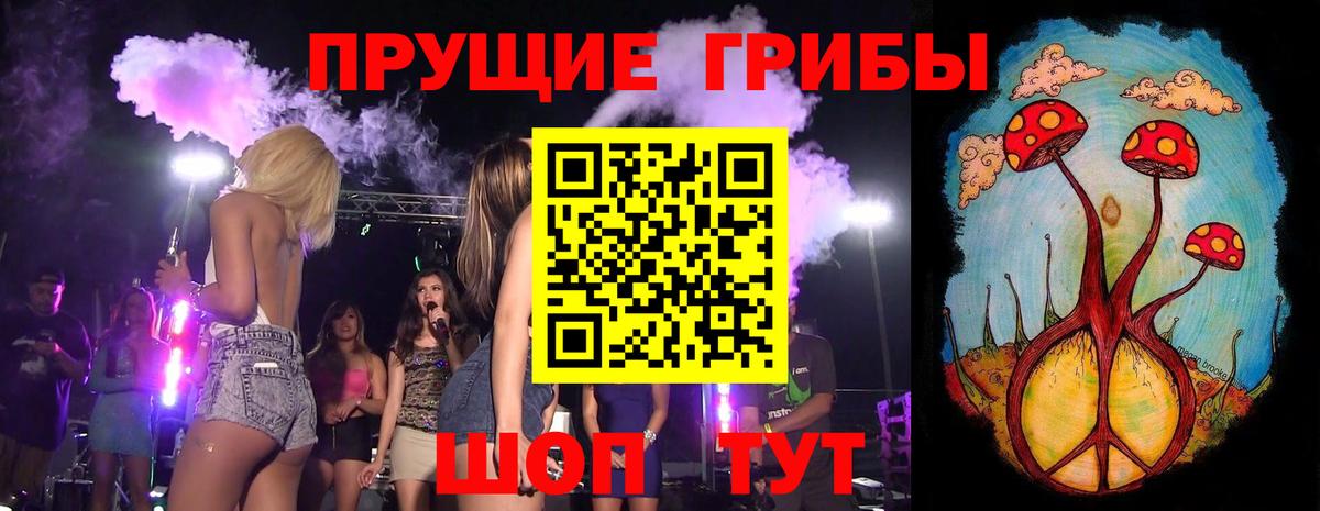 Псилоцибиновые грибы прущие грибы  Вход с VPN  Куйбышев 